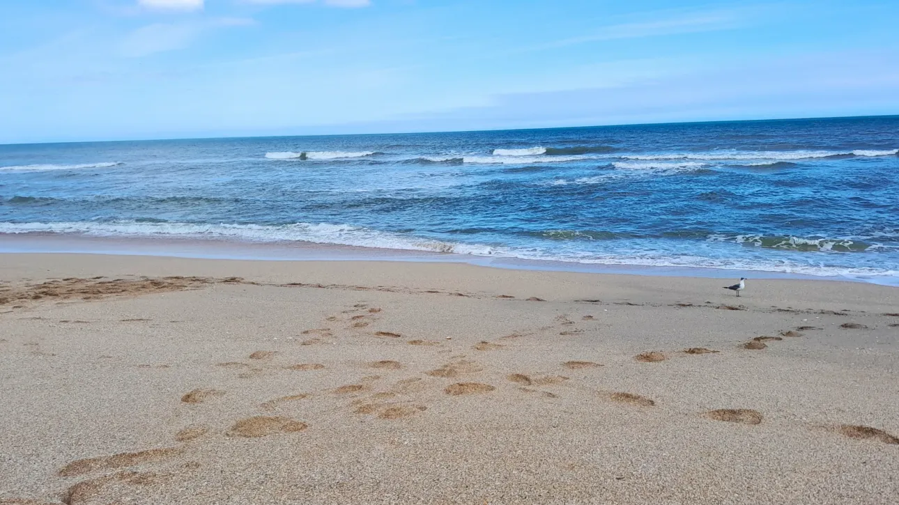 How-Much-Can-I-Borrow-Mortgage-in-worthing