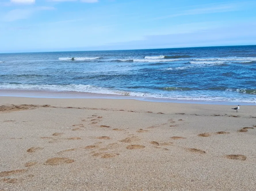 How-Much-Can-I-Borrow-Mortgage-in-worthing