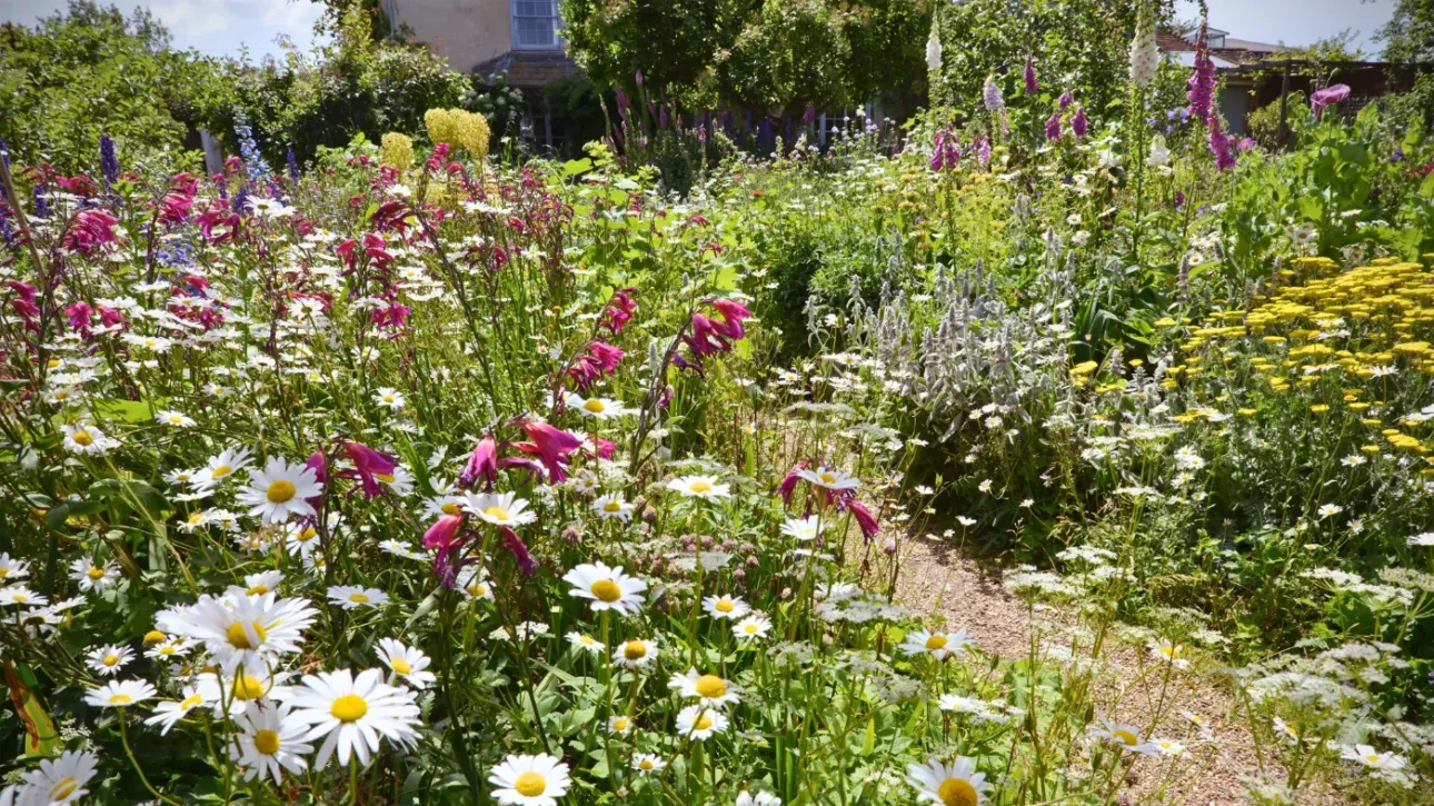 top-10-rics-surveyors-sussex