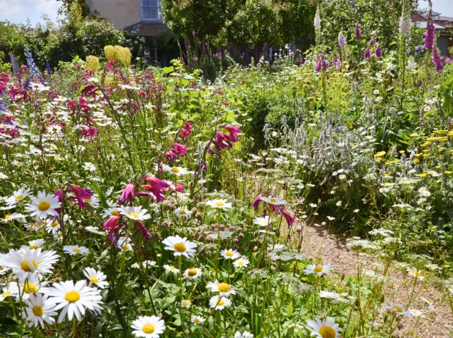 top-10-rics-surveyors-sussex