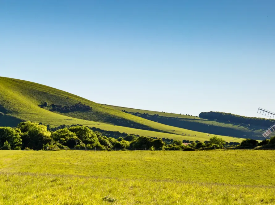 top-accountants-sussex