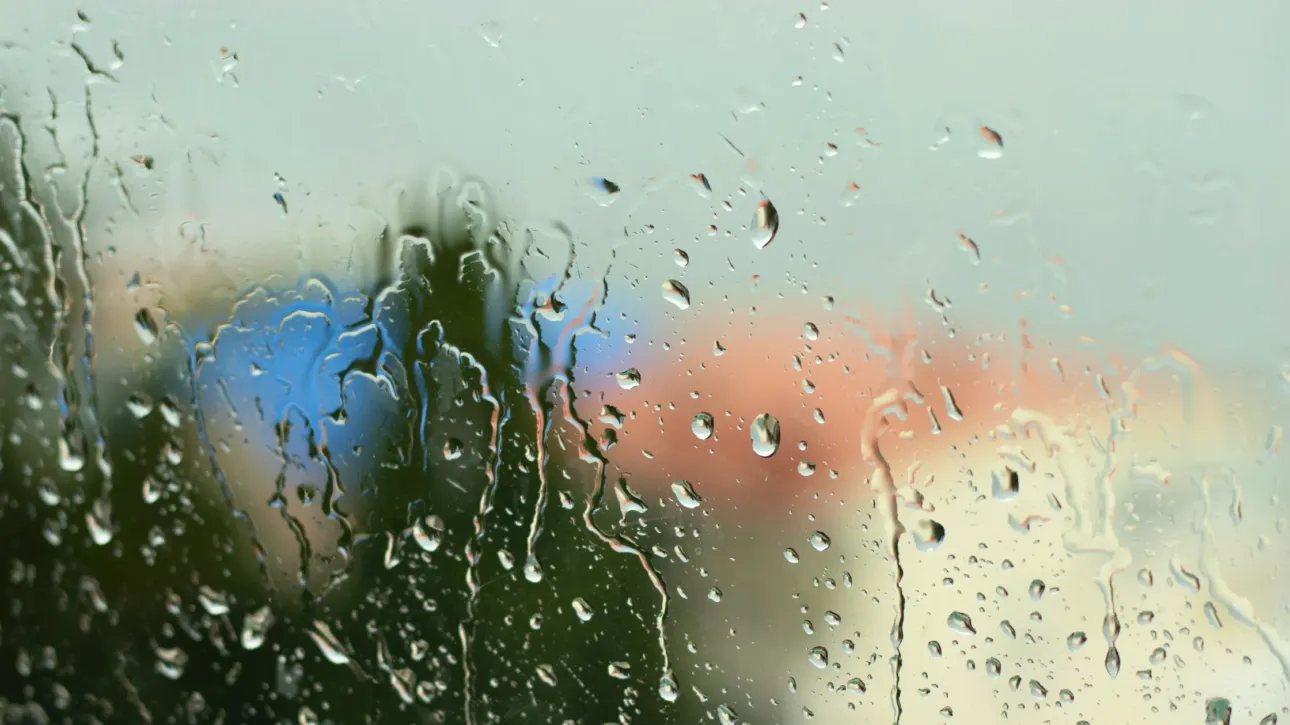 top-damp-specialists-sussex