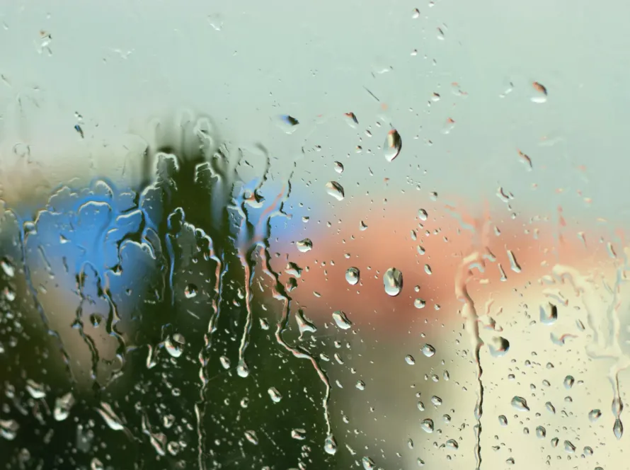 top-damp-specialists-sussex